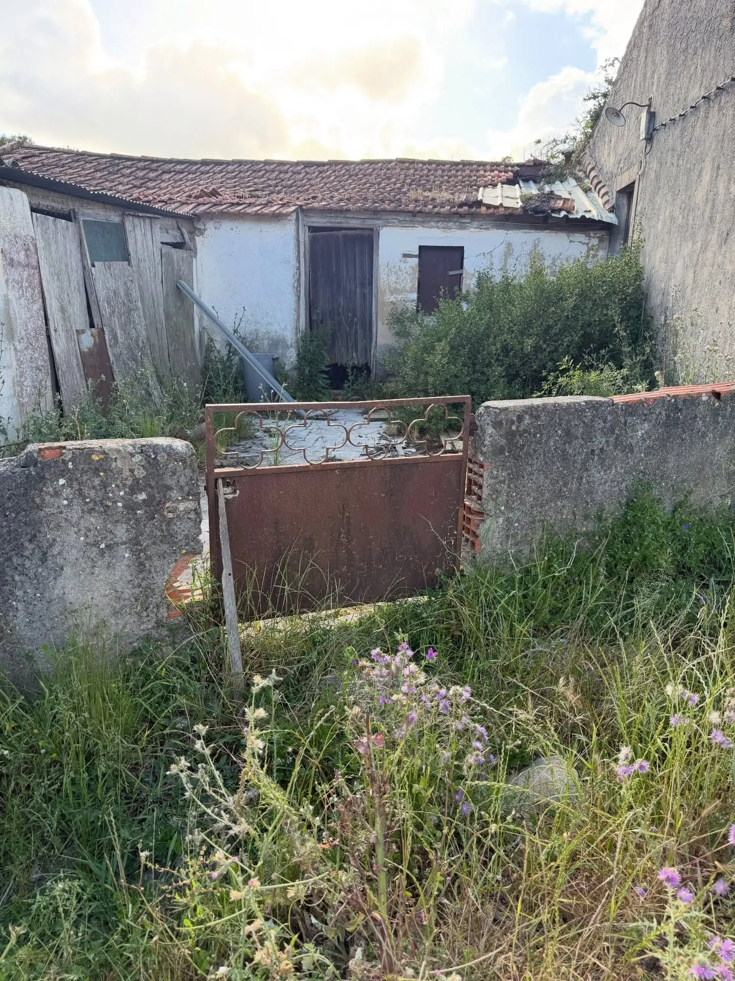 "Aprovado"! Cristina Ferreira vai recuperar "casa velha" da família — Veja as imagens