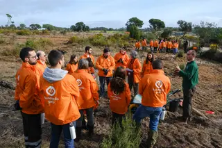 Initiative resulted in the planting of 10,000 trees on the Alentejo coast