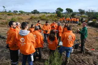 Acción de plantación de 10.000 árboles en el litoral alentejano