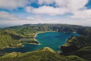 SingularityU: la vida en la Tierra