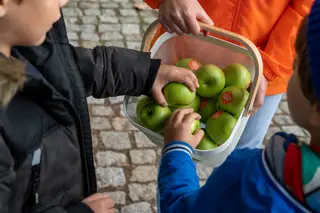 Todos los pasos cuentan para alimentar a Portugal