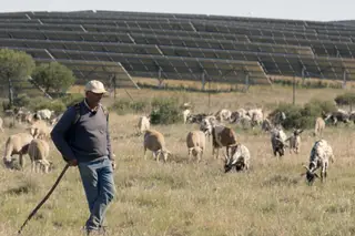 Na comunidade de Alcoutim há histórias com boa energia