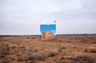 Arte em defesa da biodiversidade