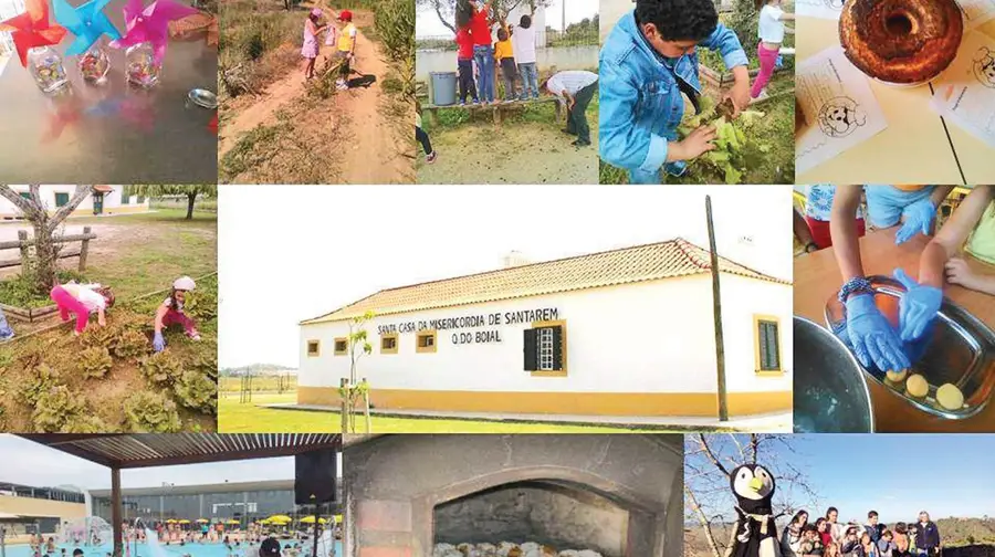 Na Quinta do Boial em Santarém as crianças podem crescer saudáveis e ao ar livre Na Quinta do Boial em Santarém as crianças podem crescer saudáveis e ao ar livre