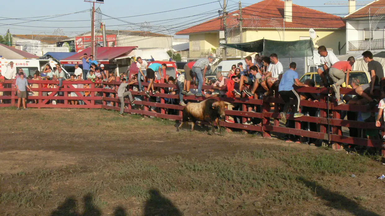 Festas de Porto Alto