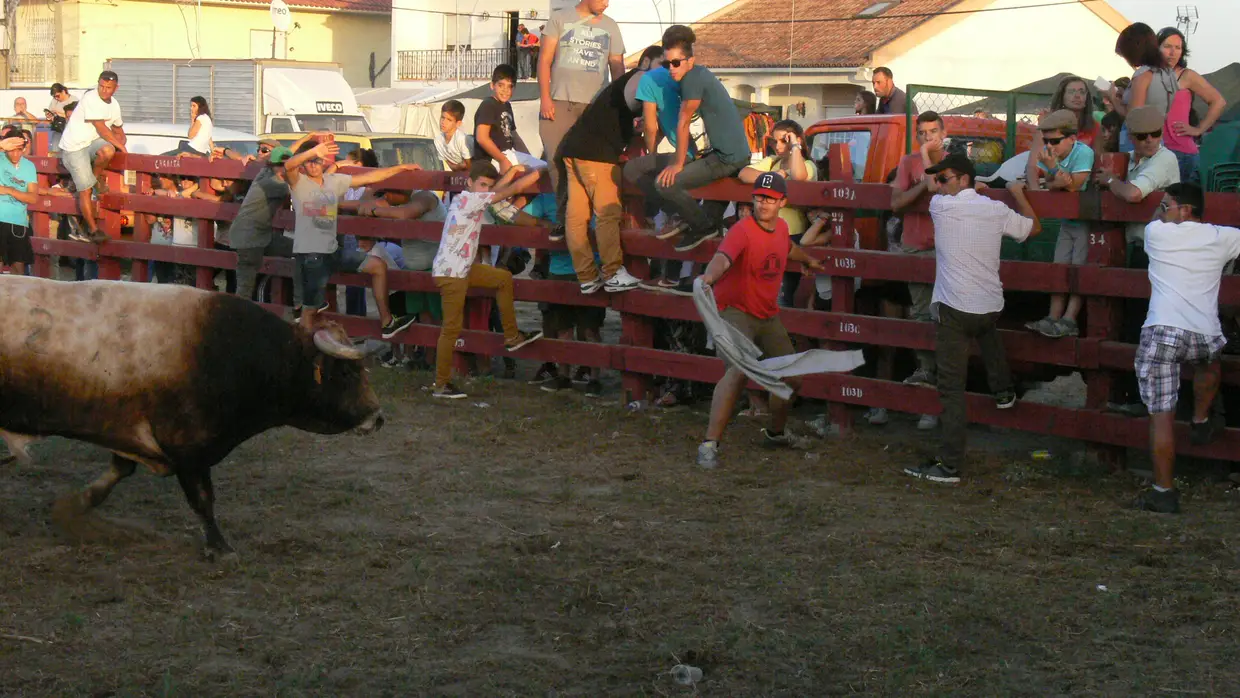 Festas de Porto Alto