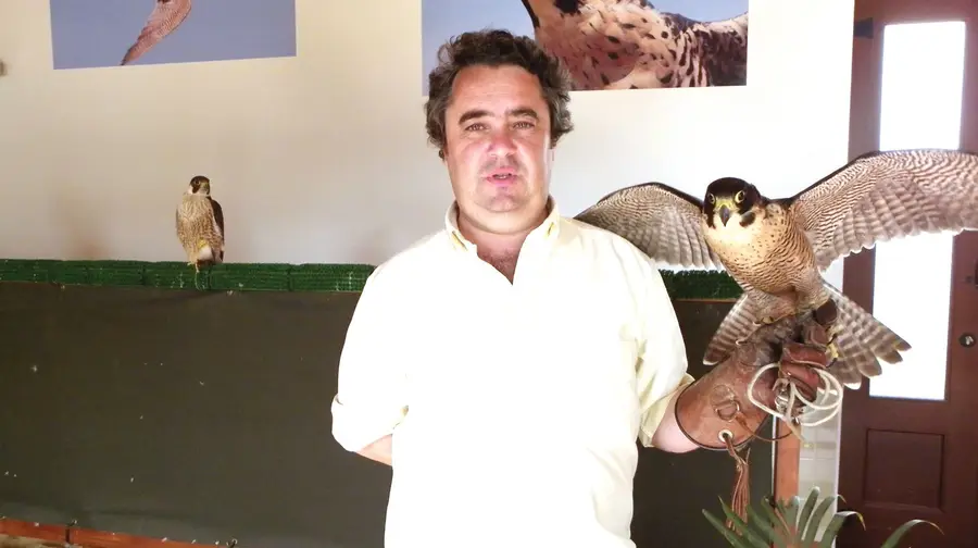 As aldeias avieiras, a falcoaria real e o contacto com a natureza As aldeias avieiras, a falcoaria real e o contacto com a natureza