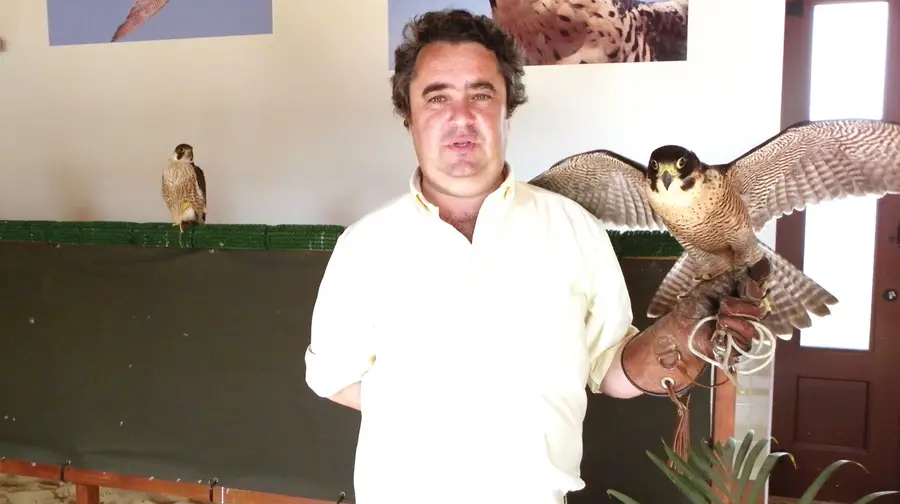 As aldeias avieiras, a falcoaria real e o contacto com a natureza As aldeias avieiras, a falcoaria real e o contacto com a natureza