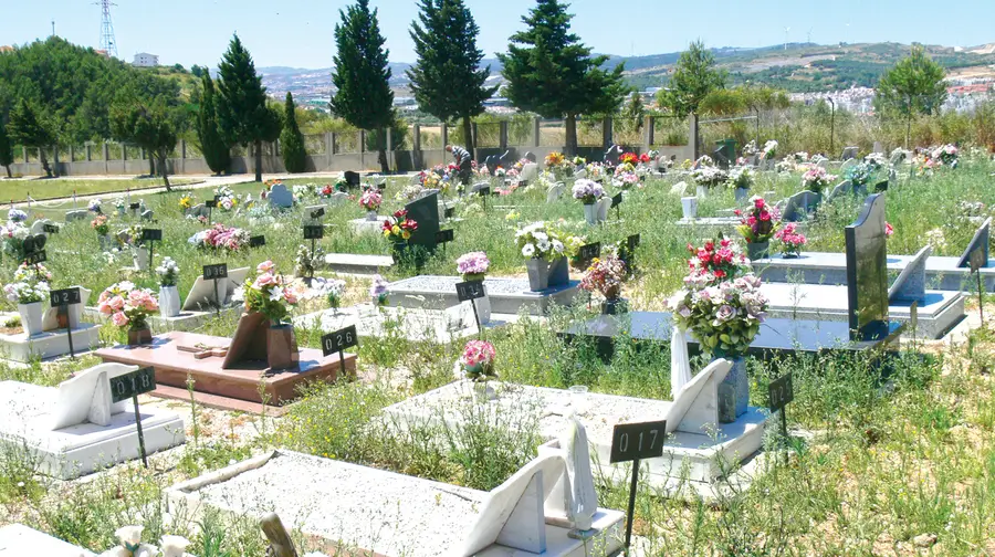 Falta manutenção no cemitério e outros espaços públicos da Póvoa de Santa Iria