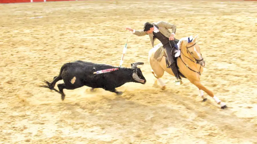 Polémica na comissão do Museu da Tauromaquia em Vila Franca de Xira