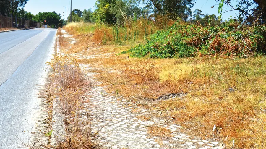 Estrada do Parque Campismo - Alpiarça