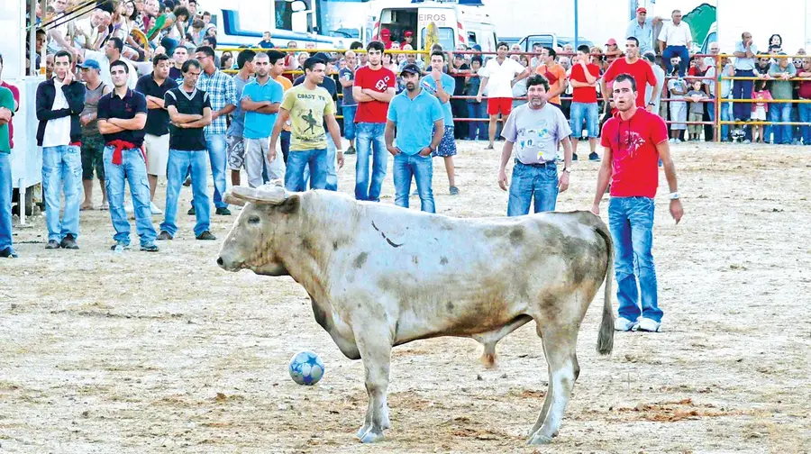 Preço das tasquinhas causa polémica entre associações e Junta da Póvoa de Santa Iria