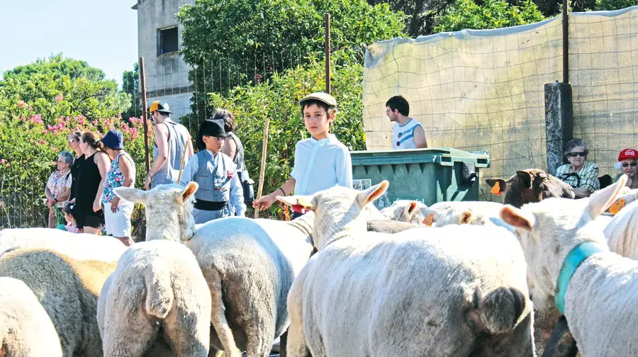 Bicharocos a sério