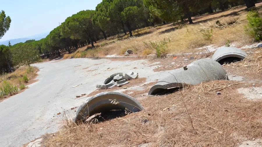 Parque urbano na Mata do Paraíso na gaveta há dez anos