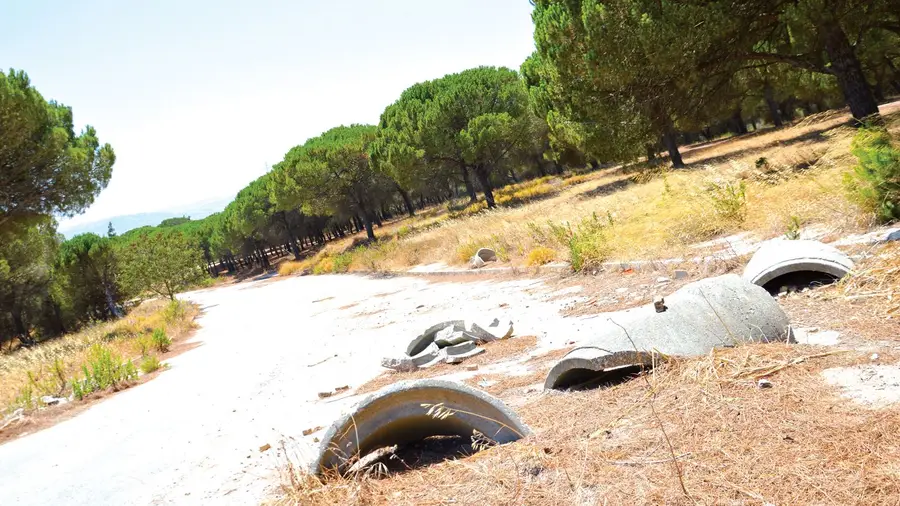Parque urbano na Mata do Paraíso está na gaveta há dez anos Parque urbano na Mata do Paraíso está na gaveta há dez anos