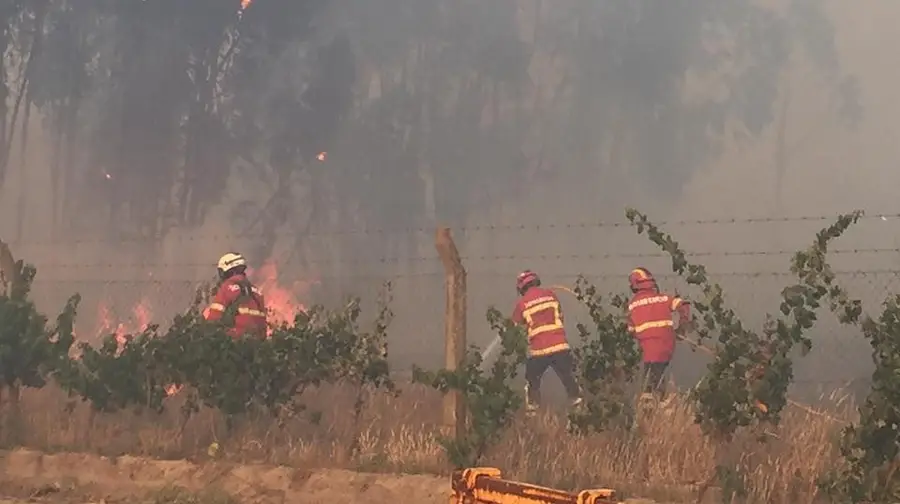 250 bombeiros combatem incêndio na Glória do Ribatejo