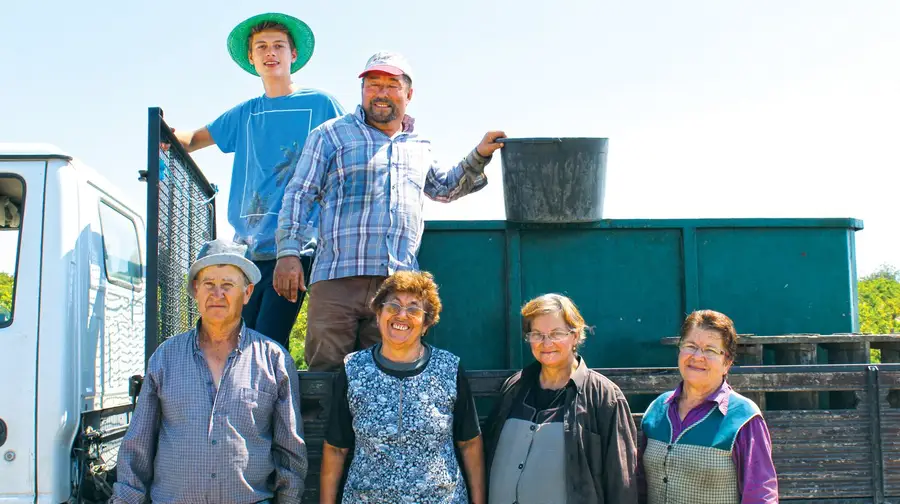 “Se as vinhas dessem dinheiro não havia tanto terreno abandonado” “Se as vinhas dessem dinheiro não havia tanto terreno abandonado”