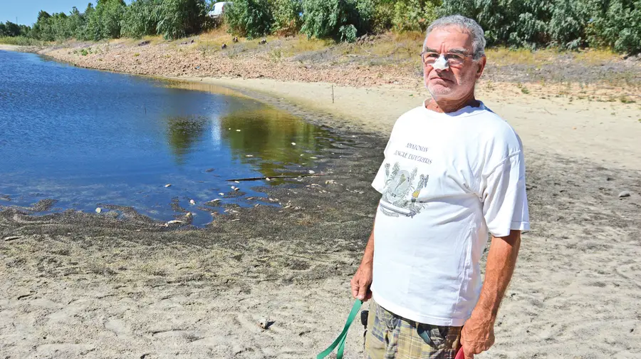 Calor é suspeito de matar peixes numa lagoa em Foros de Almada
