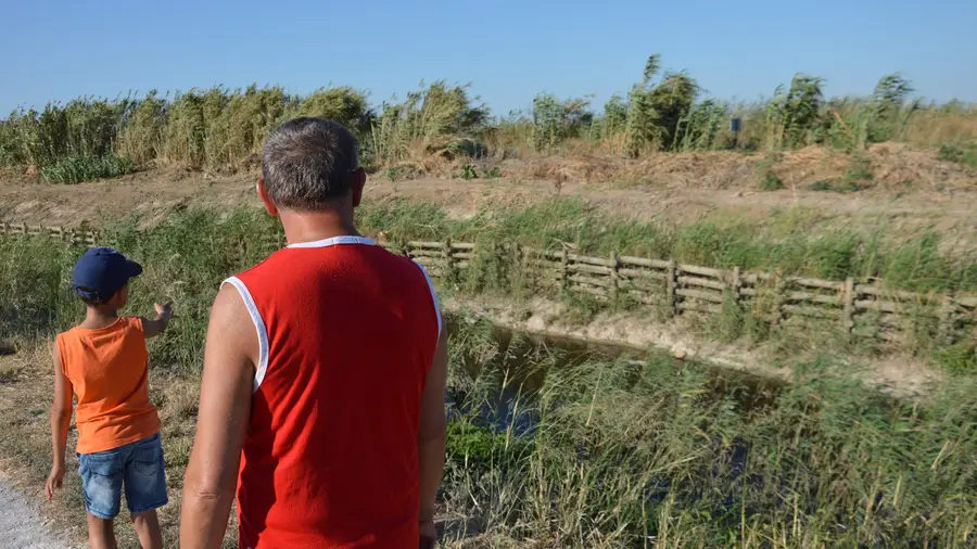 Descarga de conduta ilegal mata patos em Alverca