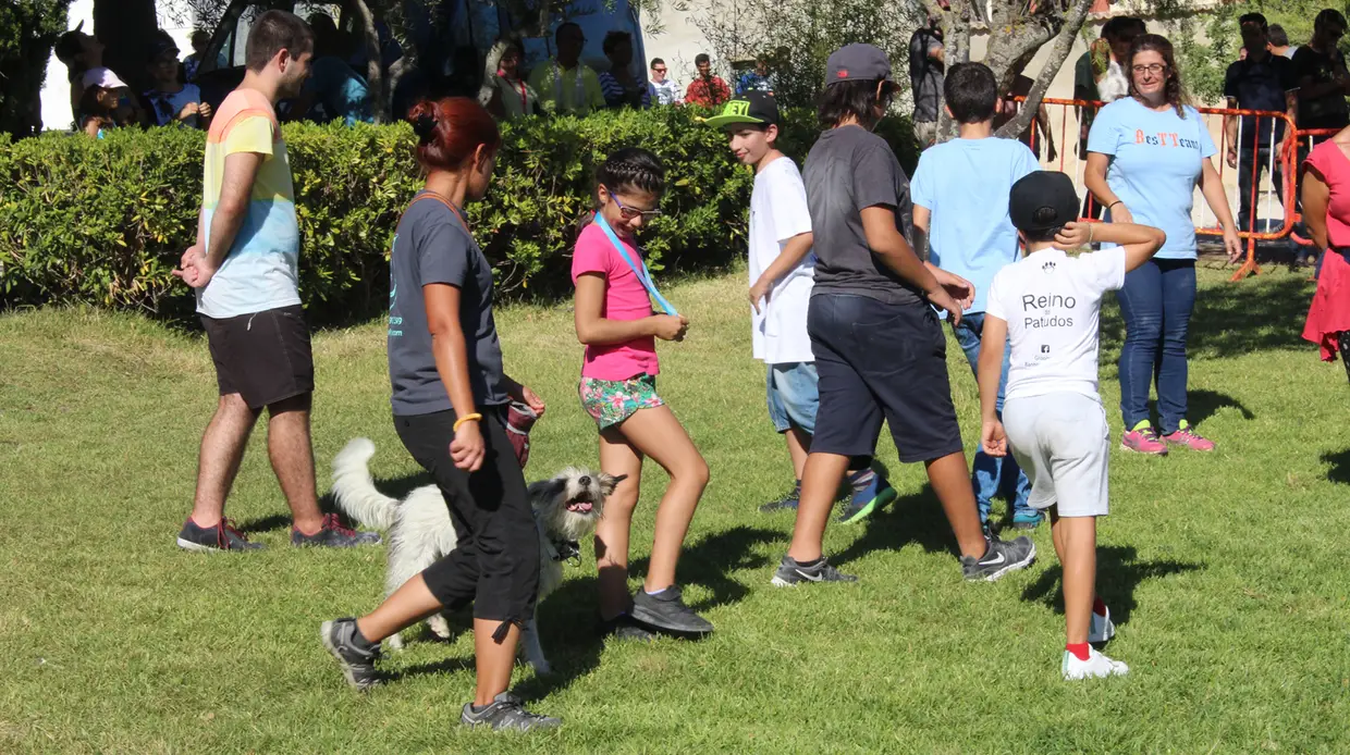 Festa Animal na Póvoa Santa Iria