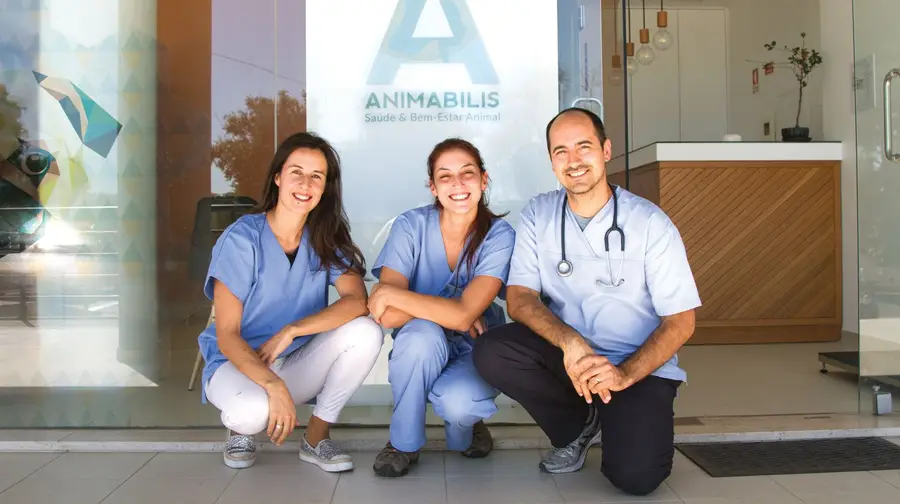 Clínica Animabilis em Torres Novas com urgências 24 horas por dia