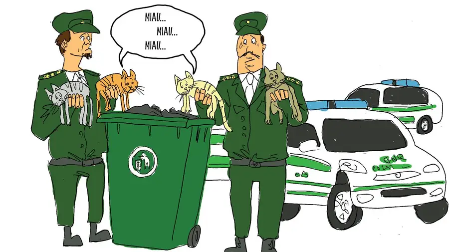 Operação miau Operação miau