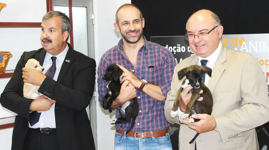 Canil de VFX requalificado para dar melhores condições aos animais Canil de VFX requalificado para dar melhores condições aos animais