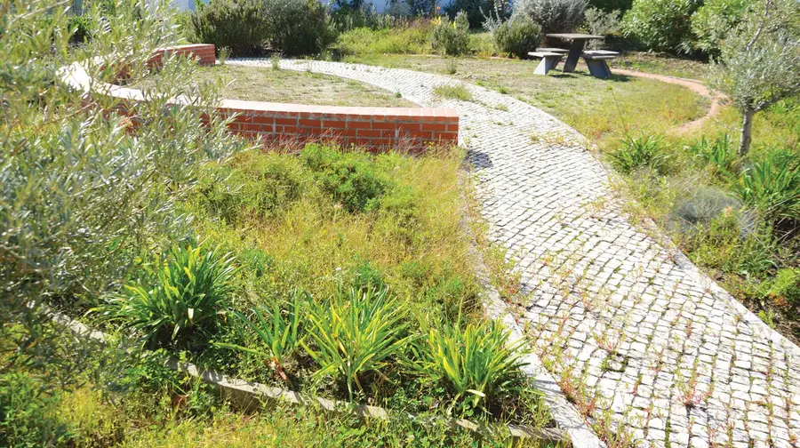 Câmara enganou-se e construiu jardim no terreno do presidente do Benfica Câmara enganou-se e construiu jardim no terreno do presidente do Benfica