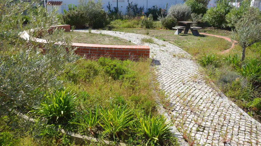 Câmara construiu jardim em terreno do presidente do SL Benfica por engano