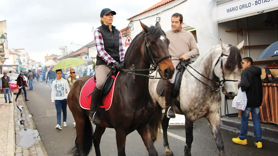 Feira Nacional do Cavalo na Golegã até 13 de Novembro
