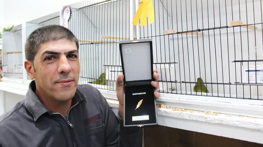 Amantes de pássaros gastam muito tempo e dinheiro para alimentar a “paixão” Amantes de pássaros gastam muito tempo e dinheiro para alimentar a “paixão”