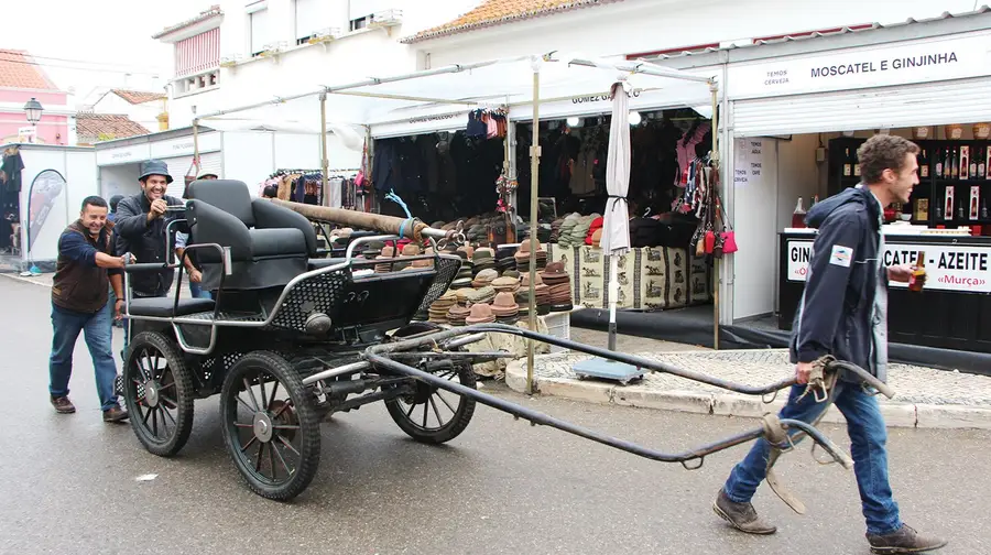 À falta de cavalos...