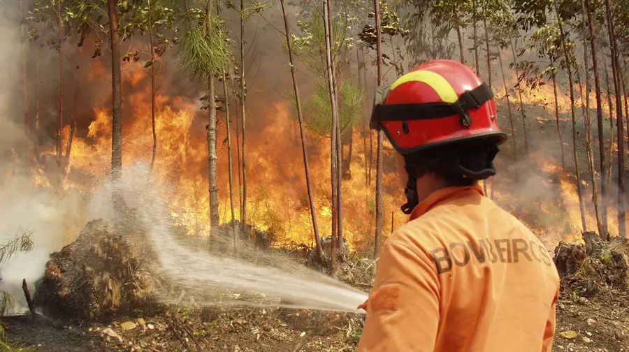 Distrito de Santarém esquecido nos prejuízos dos incêndios