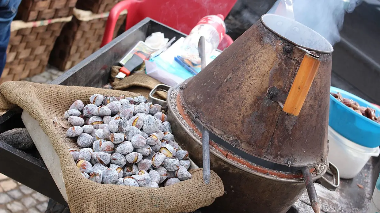 Feira do Cavalo na Golegã