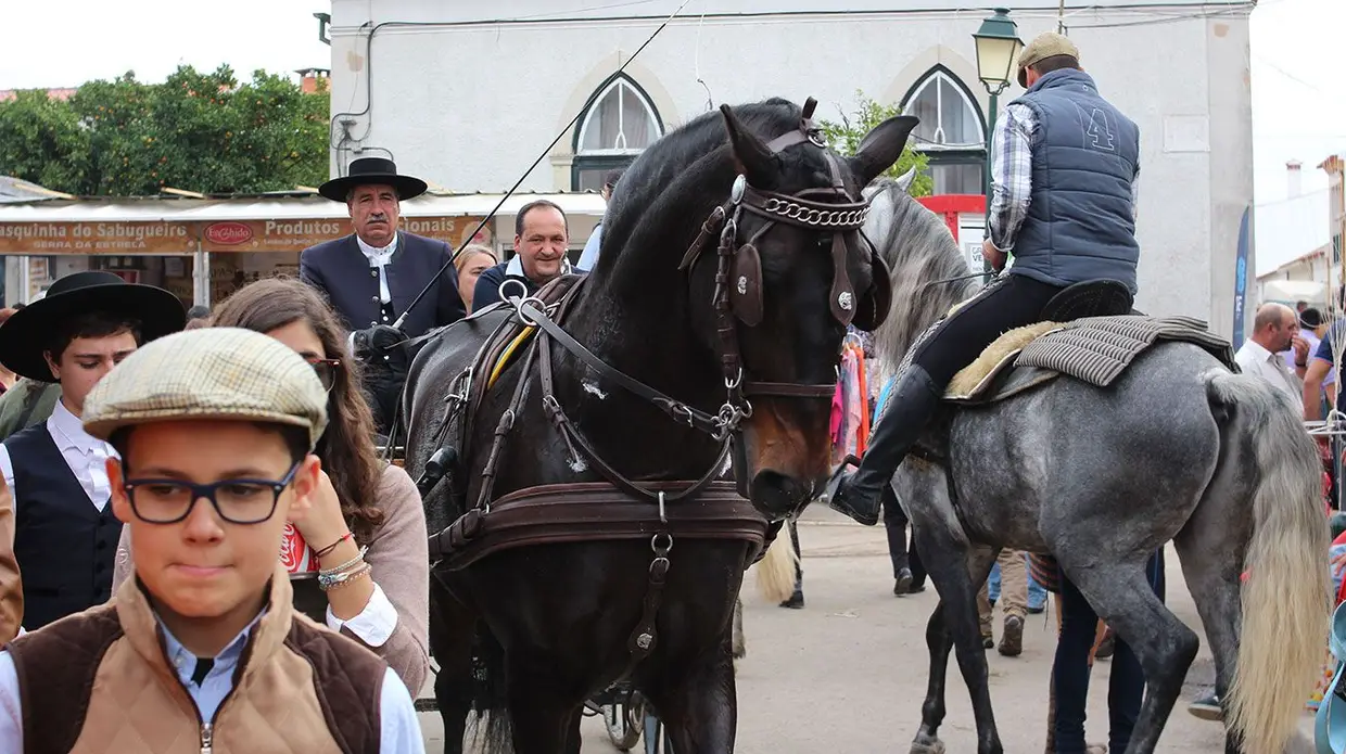 Feira do Cavalo na Golegã