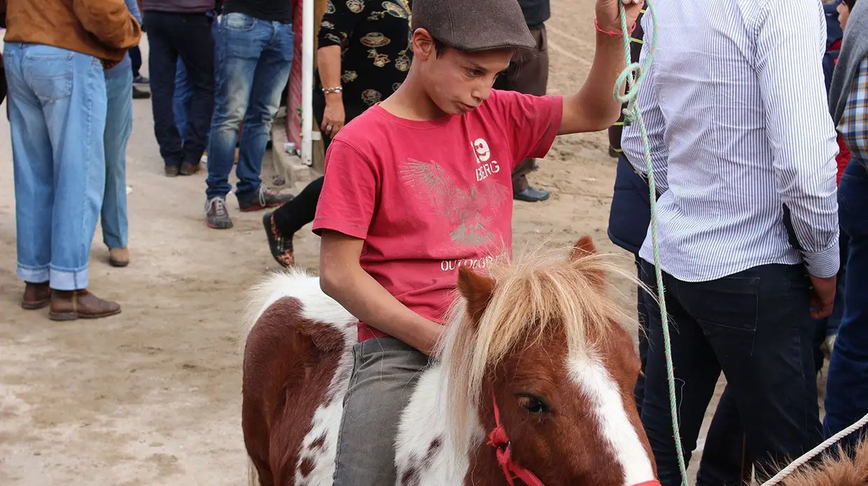 Feira do Cavalo na Golegã