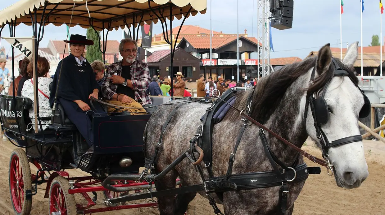 Feira do Cavalo na Golegã