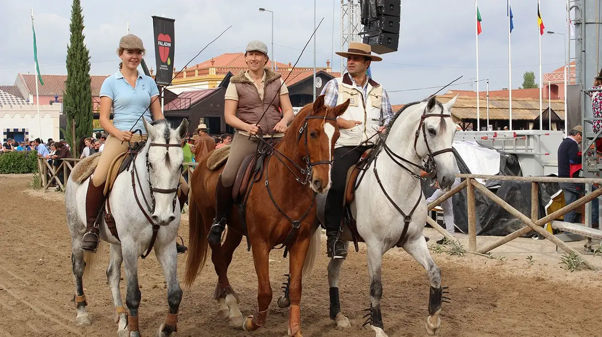Feira do Cavalo na Golegã
