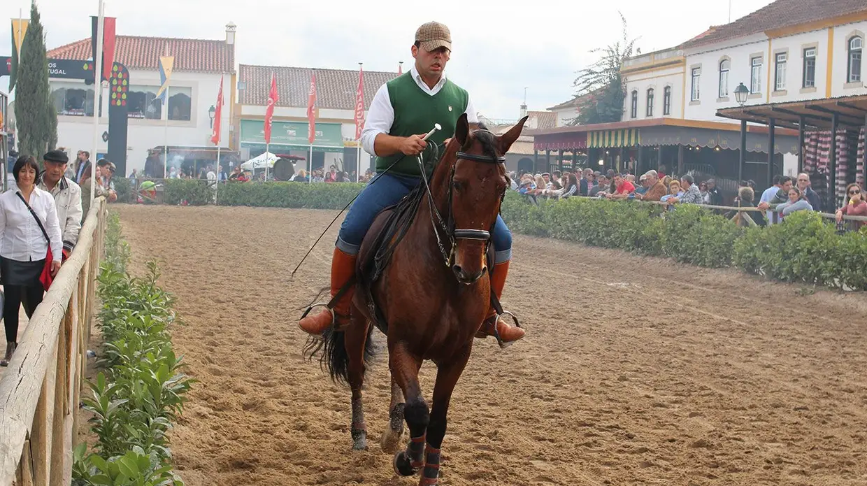 Feira do Cavalo na Golegã