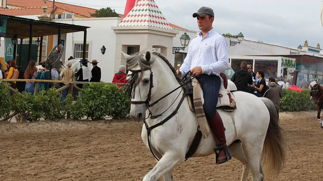 Feira do Cavalo na Golegã