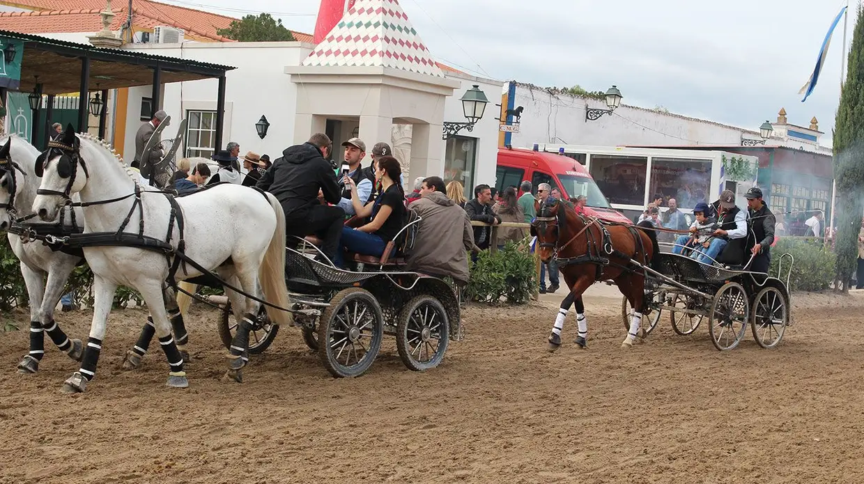 Feira do Cavalo na Golegã