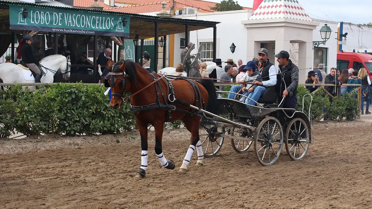 Feira do Cavalo na Golegã