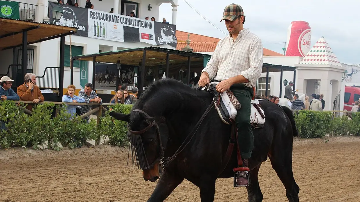 Feira do Cavalo na Golegã