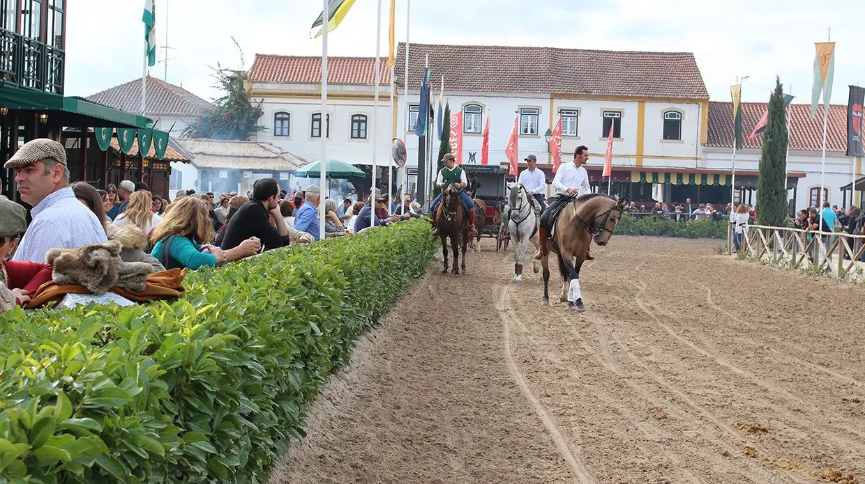 Feira do Cavalo na Golegã