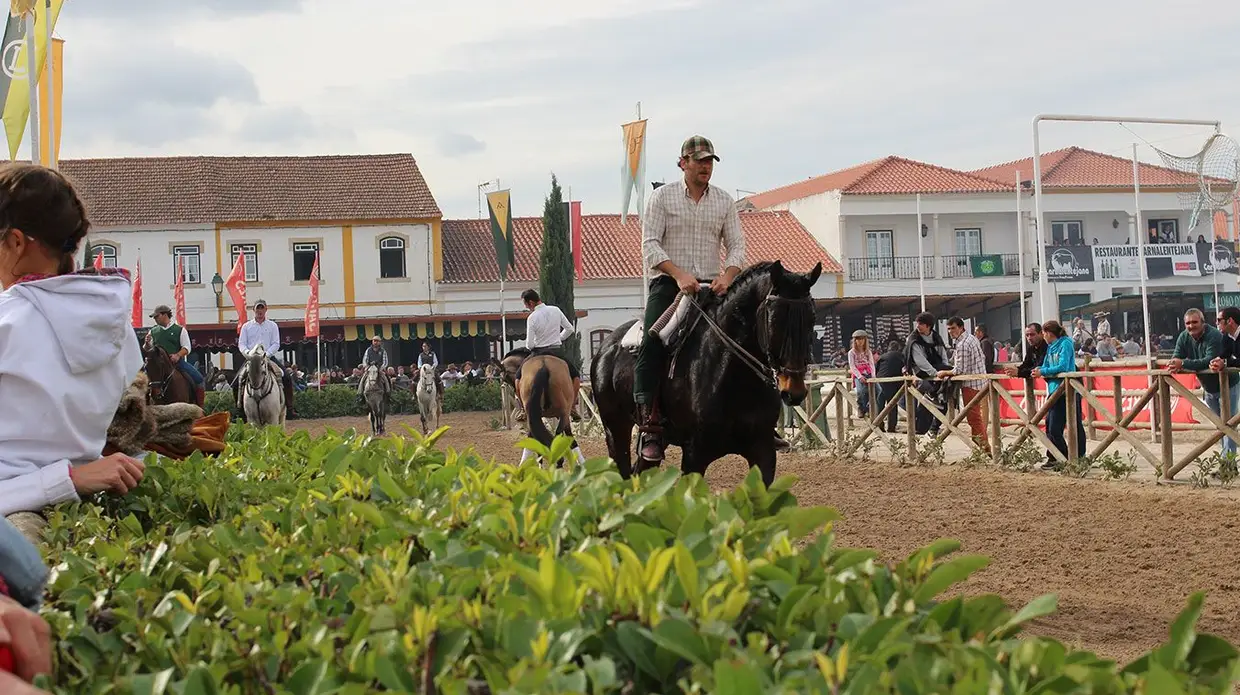 Feira do Cavalo na Golegã