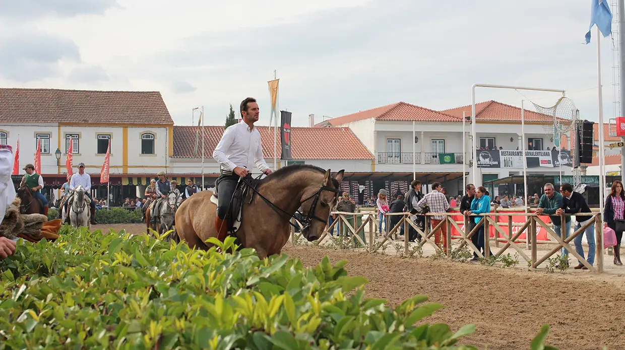 Feira do Cavalo na Golegã