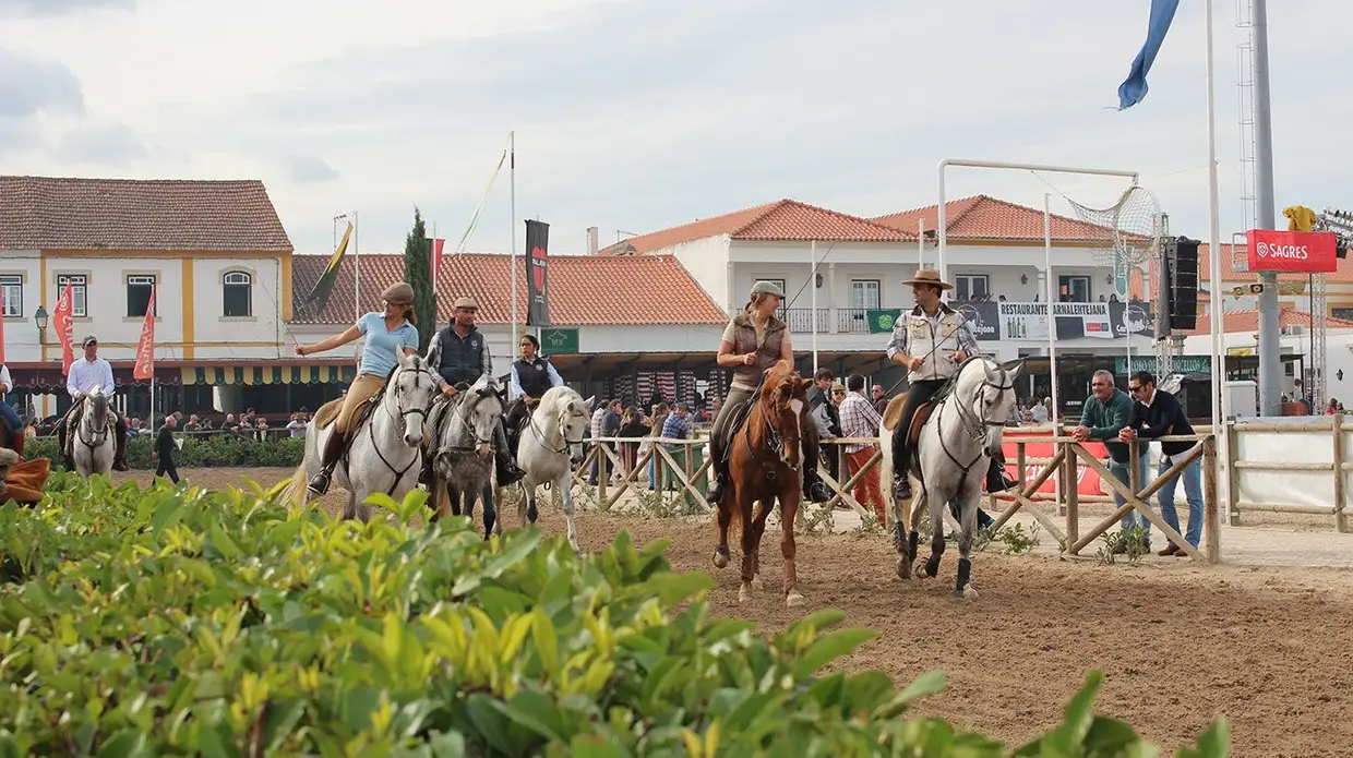 Feira do Cavalo na Golegã