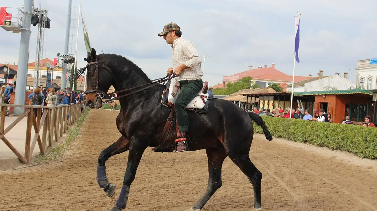 Feira do Cavalo na Golegã