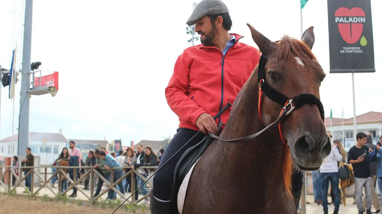 Feira do Cavalo na Golegã