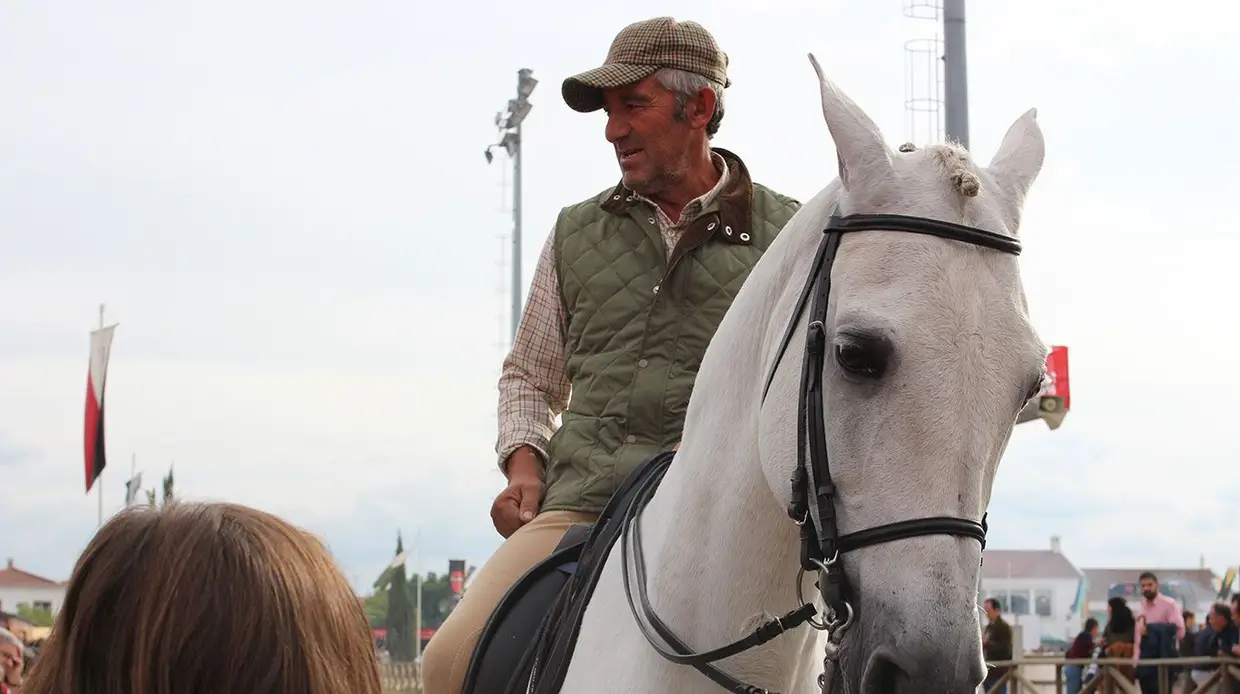 Feira do Cavalo na Golegã